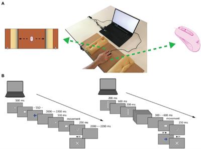 Effect of different sport environments on proactive and reactive motor inhibition: A study on open- and closed-skilled athletes via mouse-tracking procedure